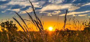 День летнего солнцестояния-2025: все о самом длинном дне года