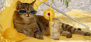 В Одесской области зафиксировали очередной температурный рекорд: жара превысила +37 °С