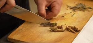 С поля – на тарелку: днепровские повара готовят блюда из саранчи