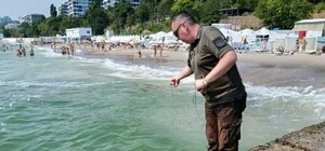 На пляжах Одессы проверили воду на мазут: результаты обнадеживают