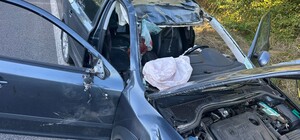 На Львівщині лось вискочив на автомобіль, загинула людина: фото 