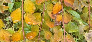 Знову дощ: яка погода буде в Одесі в понеділок