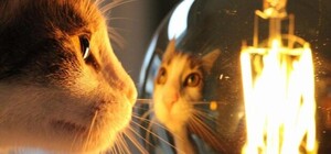 В одном из районов Харькова в субботу отключат свет: адреса