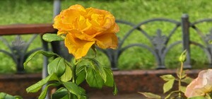 Снова пригодятся зонтики: какая погода будет в Одессе в эти выходные