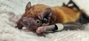 В Харькове можно 