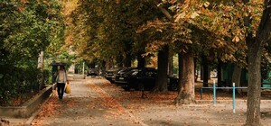 Тепло до +18 °С, но с дождями: какая погода будет в Одессе в эти выходные