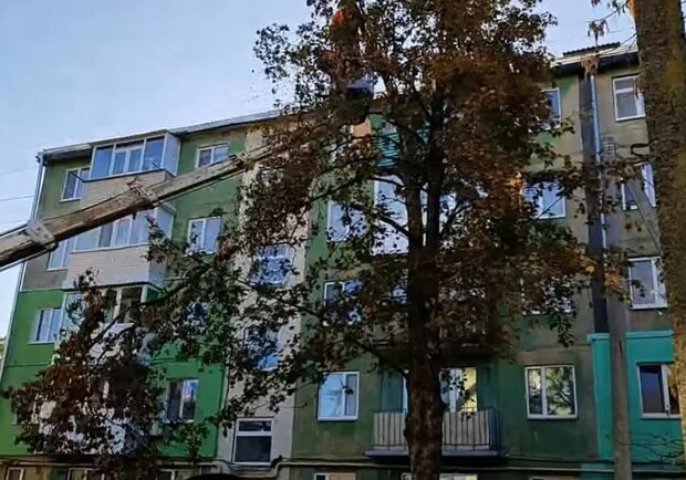 В Павлограде дрон "Шахед" застрял в дереве и не достиг цели: жители назвали зеленые насаждения героями