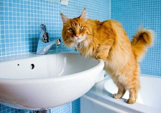 Из-за долгов стало известно, в каком районе Днепра отключат воду на следующей неделе. 