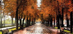 Какая будет погода в Одессе на выходные: прогноз на 1 и 2 ноября.