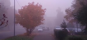 Туманный ноябрь: какая погода будет в Одессе на следующей неделе