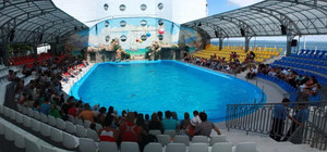 В Одесі арештували будівлю дельфінарію: власники мають сплатити місту 12 мільйонів