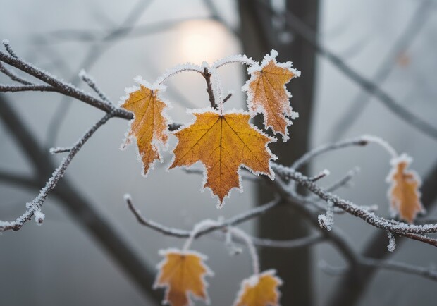 Метеорологи попереджають: листопад здатен принести один із найхолодніших тижнів за 70 років. 