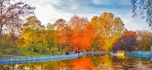 Туманы, дожди, но почти весеннее тепло: какая погода будет в Одессе на следующей неделе