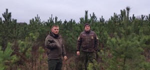 На Харківщині почали патрулювати ліси: з якою метою