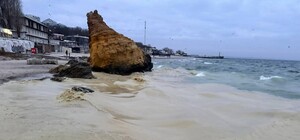 Плями та мертві птахи: на пляжах Одеси виявили забруднення