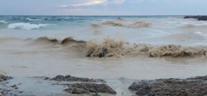 Наслідок ударів по порту Південний: на узбережжі Одеси забруднення від соняшникової олії