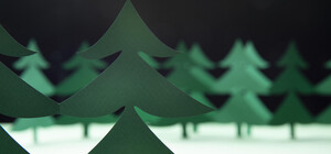 Харьковская область — в тройке антилидеров по елочному браконьерству