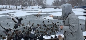 Чем можно кормить птиц и животных зимой в парках Днепра: список разрешенных продуктов