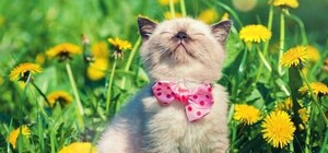 Выходные в Украине в марте 2026: сколько будем отдыхать