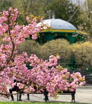 Три недорогі курорти у Львівській області, куди можна поїхати навесні: ціни 2026