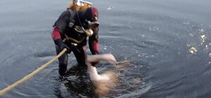 В озері на Львівщині знайшли тіло чоловіка 