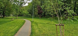 У Львові буде більше зелених зон
