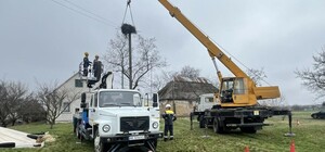 В Днепропетровской области установили платформы для гнезд аистов: как это защищает птиц и электросети