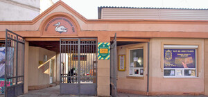 Одесский зоопарк возглавила эксуправляющая частного биопарка: что известно о ней