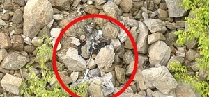 У Запоріжжі чоловіка засудили до довічного за вбивство трьох людей: деталі справи