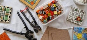 Ботсад в Днепре будет работать в субботу: мастер-классы, обмен растениями и экскурсии