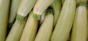Где в эти выходные в Киеве пройдут продуктовые ярмарки. Адреса
