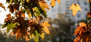 Тепло, наче навесні: яка погода буде в Одесі цими вихідними