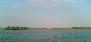 На Днепропетровщине уникальное озеро загрязняют фекалиями 