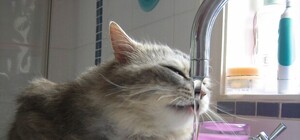 В Пятихатках сутки не будет воды