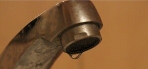 Цитаты Запорожья: ГАИшники -