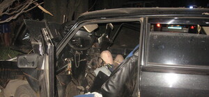 В Донецке бешеная 