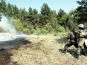 Во избежание пожаров охрану лесных зон усилили. Фото с сайта kp.ua