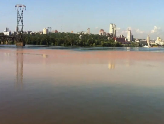 Разлившееся пятно – угроза для био - и экосистемы Днепра. Фото с форума gorod.dp.ua