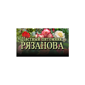 Справочник - 1 - Частный питомник Рязанова