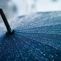 После выходных в Днепропетровске  начнутся дожди. Фото с сайта: fedpress.ru