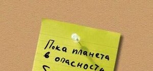 Цитаты недели: Янукович про автобаны, Мазурчак про коньяк, а Тимошенко про свободу из-за решетки