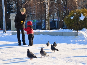 Настоящая зима придет к нам не раньше 5 января. Фото с сайта kp.ua