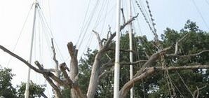 Верность традициям: в Запорожье будут воспитывать казаков