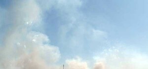 ТОП-10 видео 