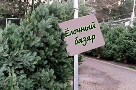 Гораздо дешевле и безопасней купить елку, чем срубить ее в лесу. Фото с сайта obozrevatel.ua