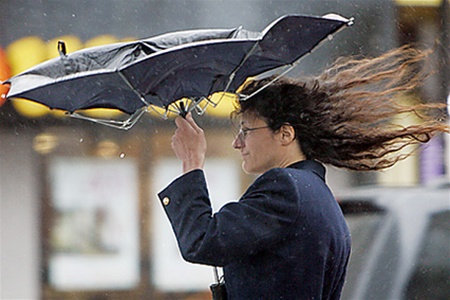 Если на Матвея ветры веют буйные – быть вьюгам-метелям. Фото с сайта obozrevatel.com