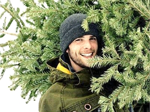 Искусственные елки выходят дешевле. Фото с сайта iberdsk.ru