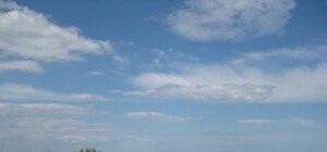 Запорожские власти наконец-то заинтересовались перепахиванием заказника Косы Федотовой