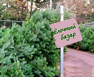 За елкой – на базар. Фото с сайта votnabchelny.ru