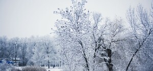 Запорожская зима фотоаппаратами читателей 